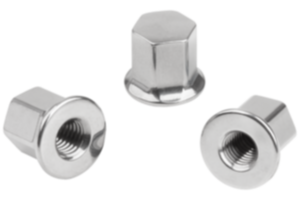 Dadi ciechi in acciaio inox con collare per rondelle di guarnizione Hygienic USIT® Dadi ciechi in acciaio inox con collare per rondelle di guarnizione Hygienic USIT®