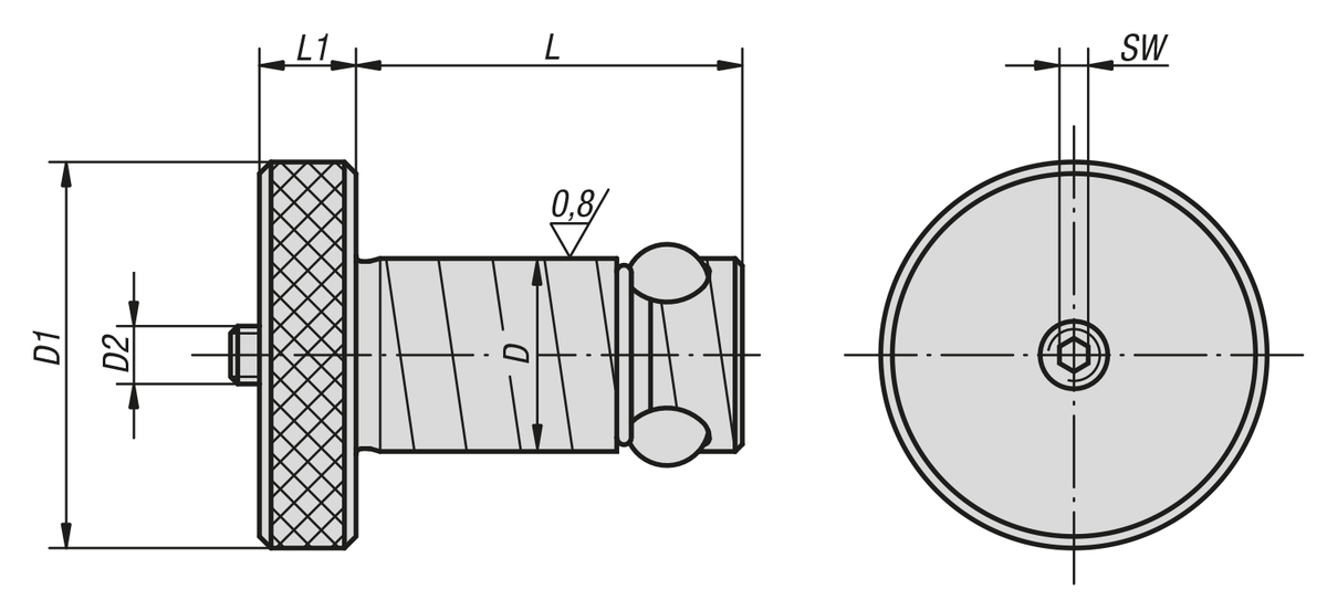 Cilindro di posizionamento acciaio inox Ball Lock