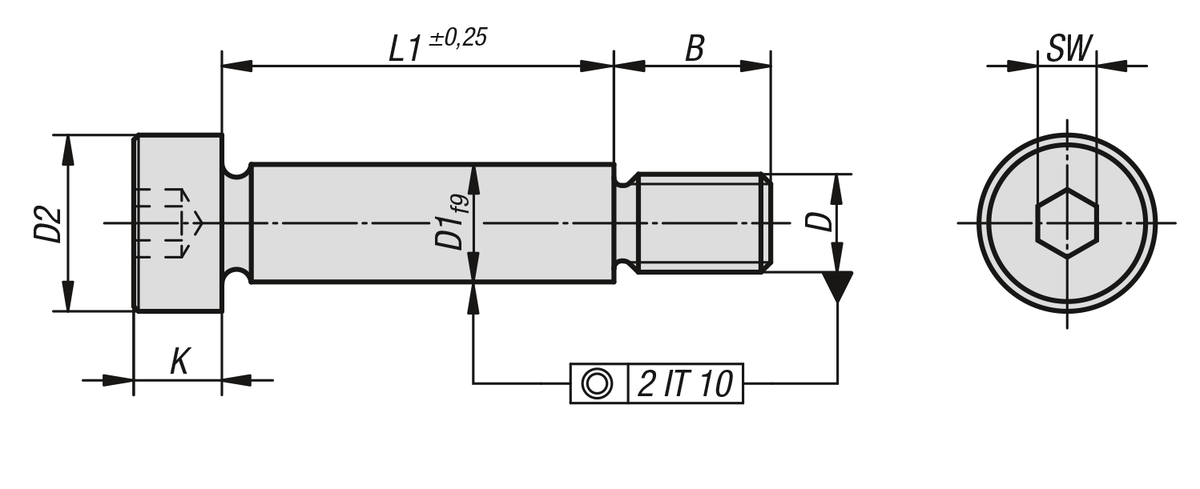 Viti a colletto con attacco simili a DIN ISO 7379